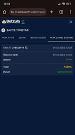 Screenshot_2024-03-09-13-44-59-430_com.android.chrome.jpg