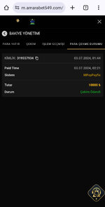 Screenshot_2024-07-03-04-24-52-395_com.android.chrome.jpg