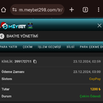 Screenshot_2024_1223_102055.png