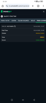 Screenshot_20250419-013019.png