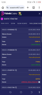 Screenshot_20250523-125316.jpg