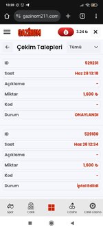 Screenshot_2025-06-28-13-20-29-616_com.android.chrome.jpg